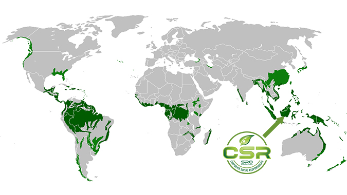 Rainforest map